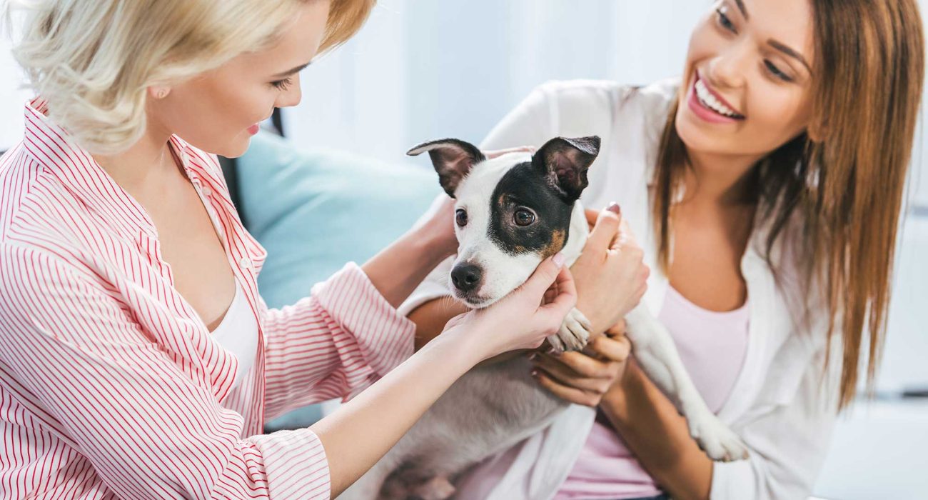 happy-girls-with-jack-russell-terrier-dog-at-home-2022-11-17-22-13-19-utc