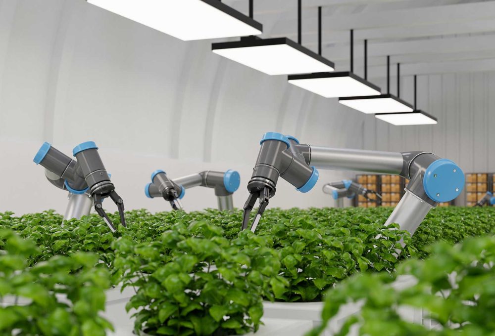 robotic-in-agriculture-futuristic-concept-agricult-2023-11-27-05-25-32-utc