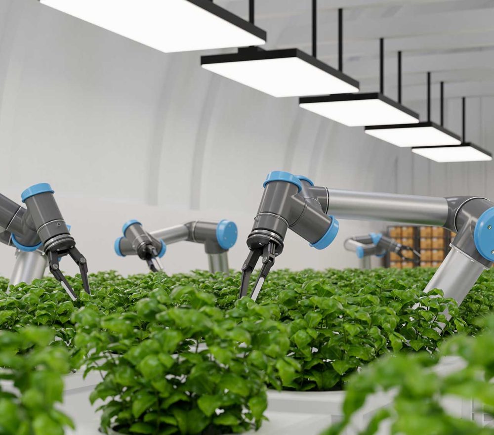 robotic-in-agriculture-futuristic-concept-agricult-2023-11-27-05-25-32-utc